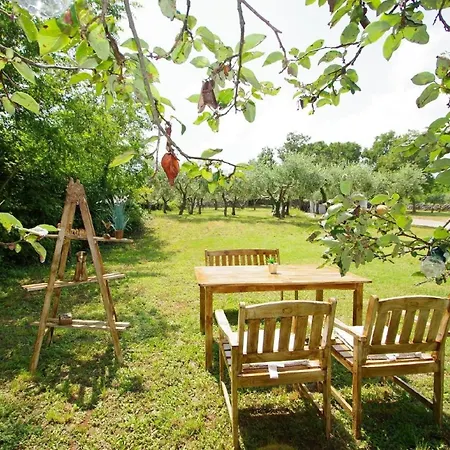 Mit Schoenem Garten