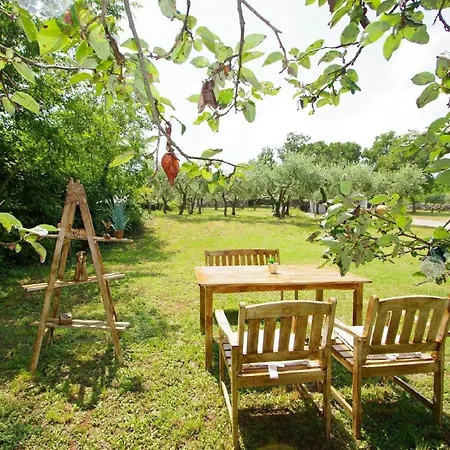 Mit Schoenem Garten